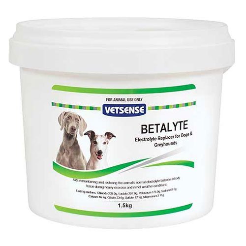 VetSense Betalyte Powder for Dogs and Greyhounds