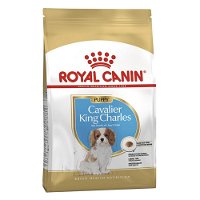 Royal Canin Cavalier King Charles Puppy Junior Dry Dog 