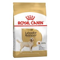 Royal Canin Labrador Retriever Adult Dry Dog Food 