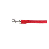 Beau Pets Single Nylon Lead for Dogs - Red