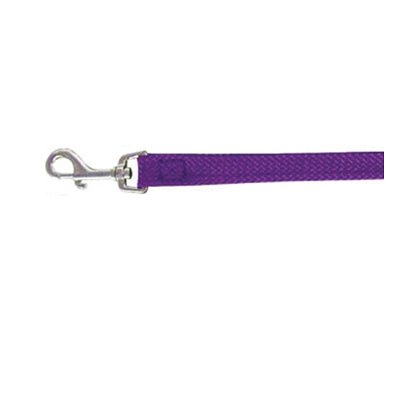 Beau Pets Single Nylon Lead - Purple