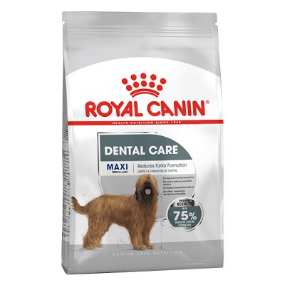 Royal Canin Dental Care Maxi Adult Dry Dog Food