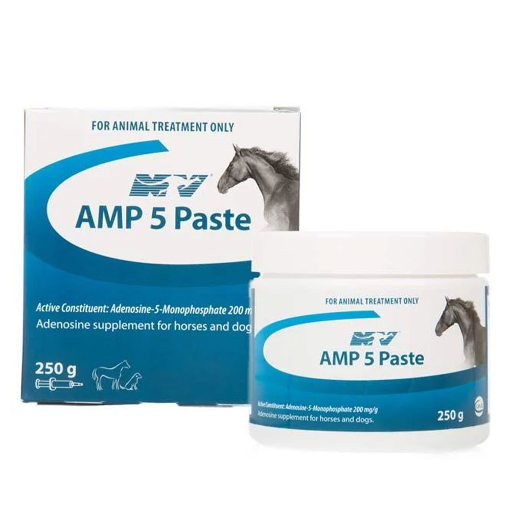 Ceva NV AMP 5 Paste Supplement for Horses and Dogs