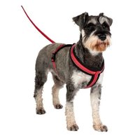 Halti - Comfy Harness - Extra Small - Red