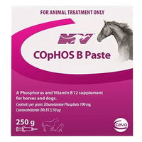 Ceva NV COpHOS B Paste Vitamin B12 Supplement for Horses and Dogs