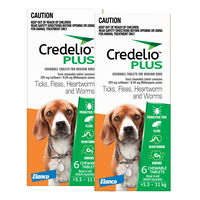 Credelio Plus For Medium Dogs 5.5 - 11 Kg Orange