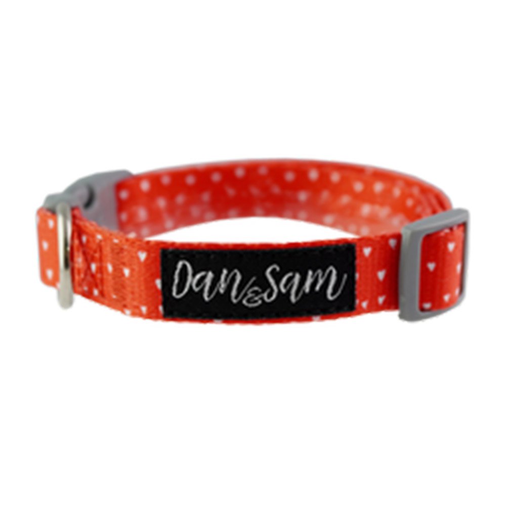 Dan & Sam - Dog - Adjustable Polyester Webbing Collar - Raining Hearts