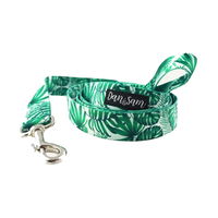 Dan & Sam Polyester Webbing Lead for Dogs - Lahana