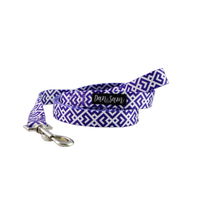 Dan & Sam Polyester Webbing Lead for Dogs - Purple Delight