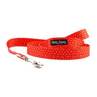 Dan & Sam Polyester Webbing Lead for Dogs - Raining Hearts