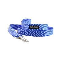 Dan & Sam Polyester Webbing Lead for Dogs - Ziggy