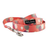 Dan & Sam Polyester Webbing Lead for Dogs - Fabulous