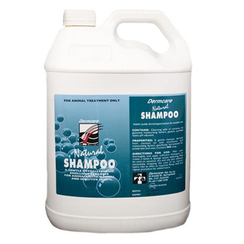 Dermcare Natural Shampoo 5 Litres With Pump