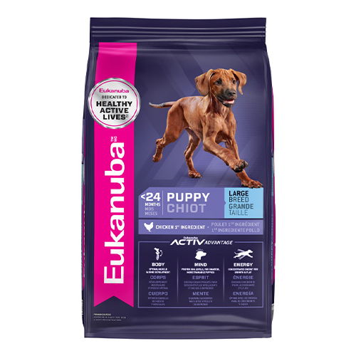 Eukanuba Large Breed Puppy Dry Dog Food