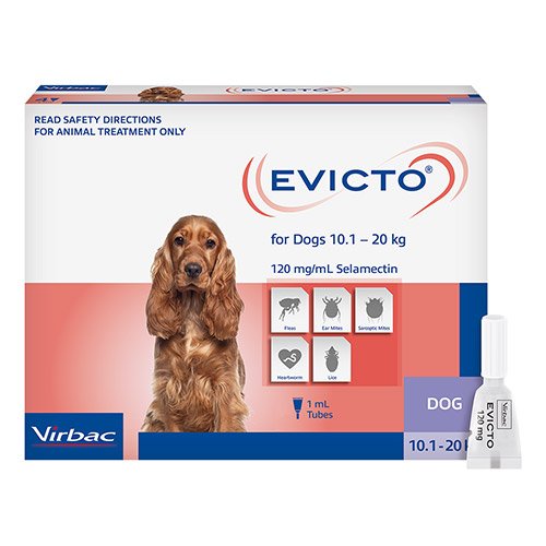 Evicto Spot-On For Medium Dogs 10-20kg (Blue) 4 Pack