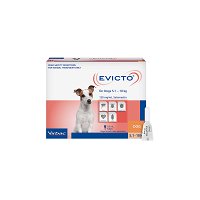 Evicto Spot-on (Selamectin) FOR SMALL DOGS 5-10KG (ORANGE)