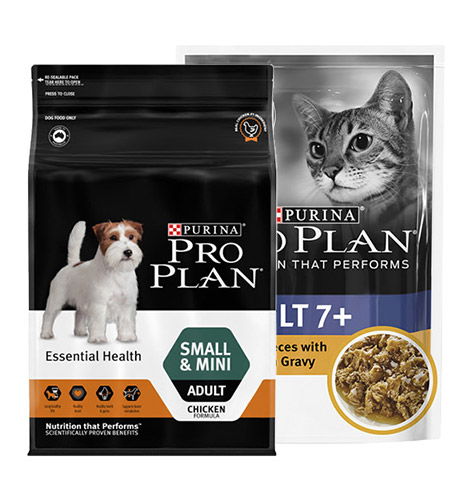 dog food international shipping