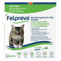 Felpreva Spot-On for Large Cats 5 to 8kg