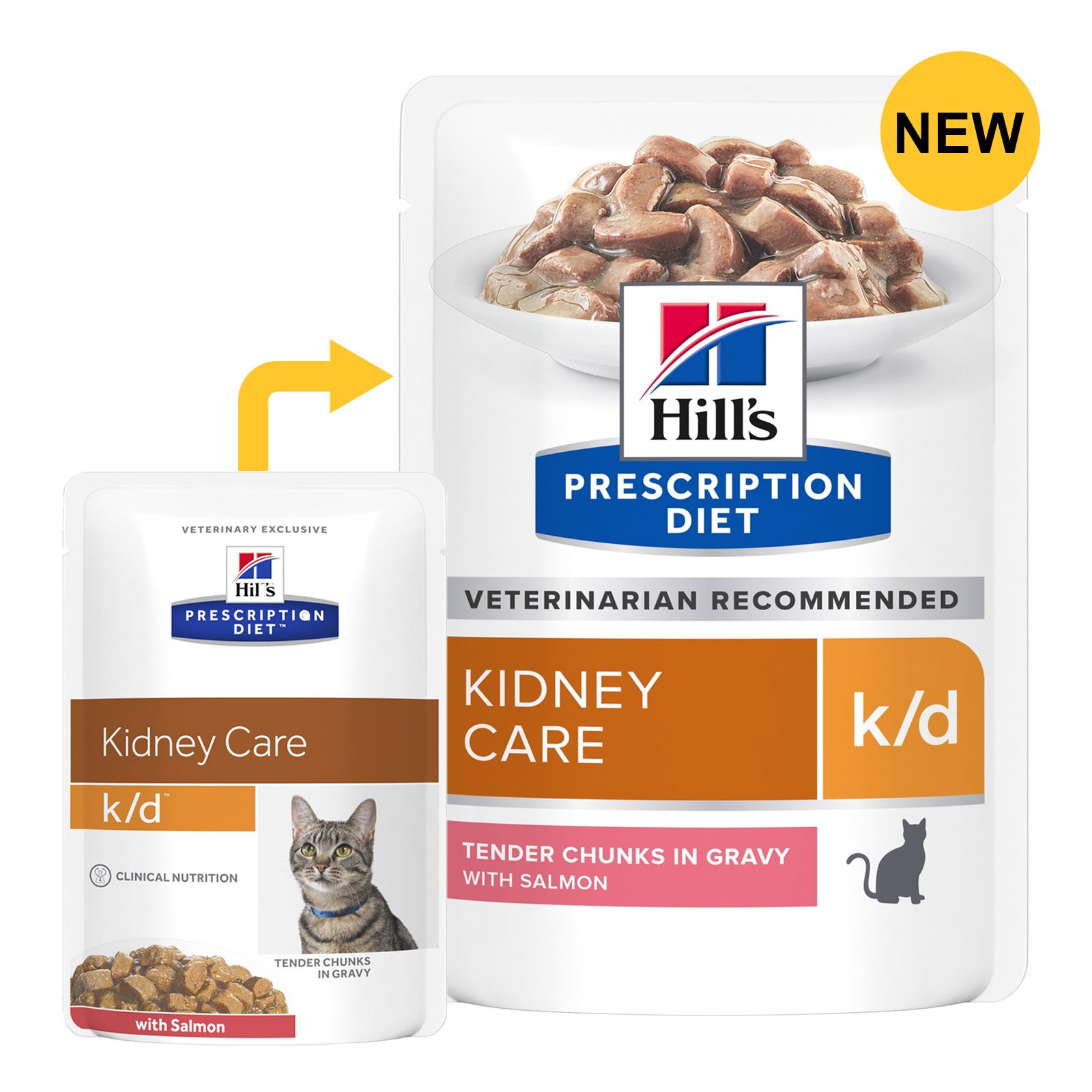Hill's Prescription Diet k/d Kidney Care Salmon Cat Wet Pouch 85gmX12
