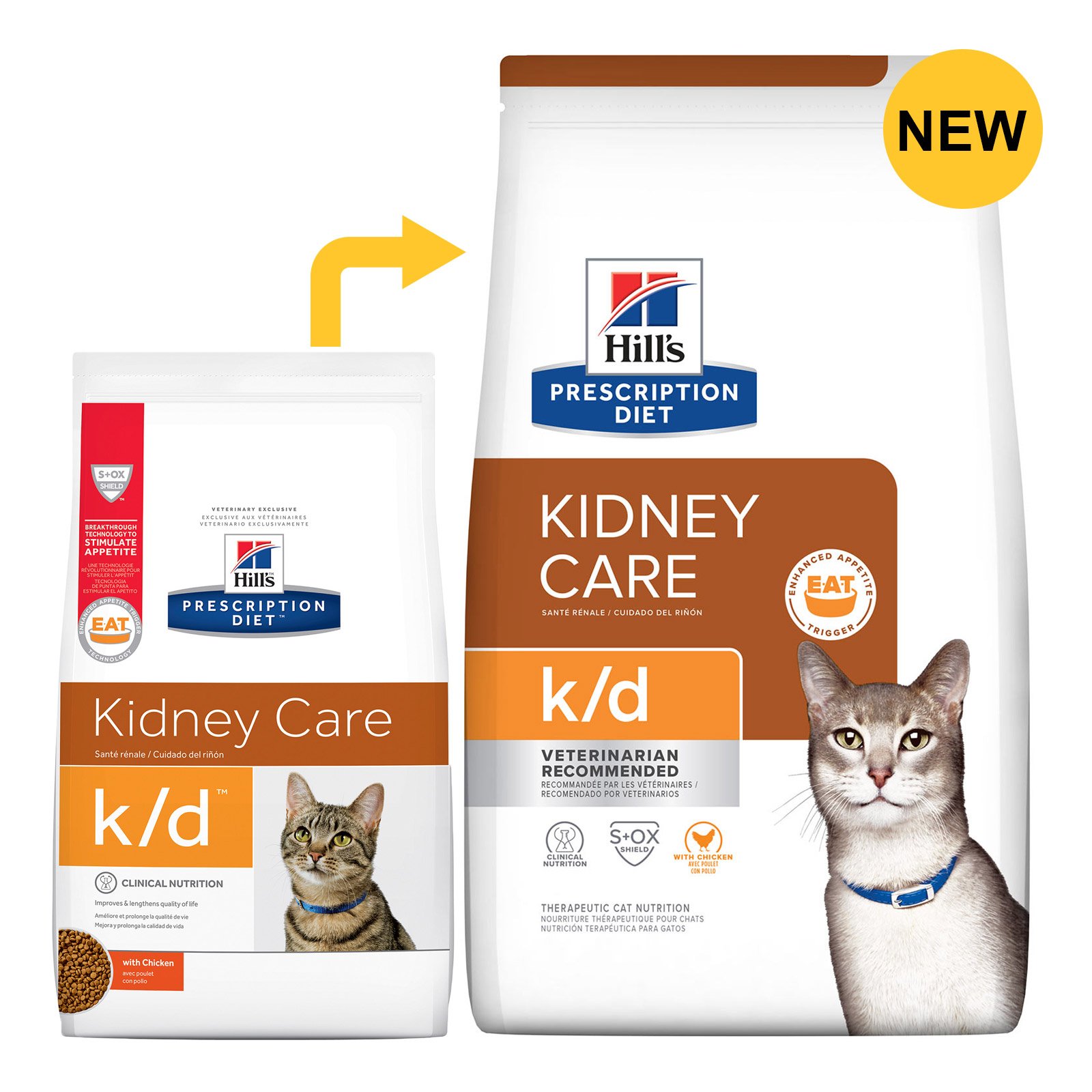 Hill's Prescription Diet k/d Kidney Care with Chicken Dry Cat Food 