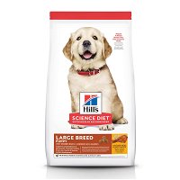 Hill's Science Diet Puppy Large Breed Chicken & Oats Dry Dog Food