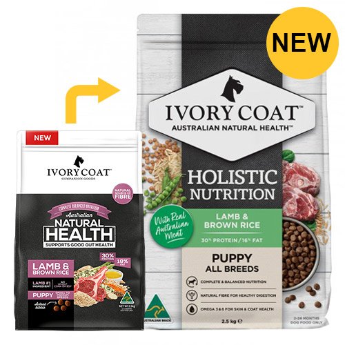 Ivory Coat Dog Puppy Lamb and Brown Rice
