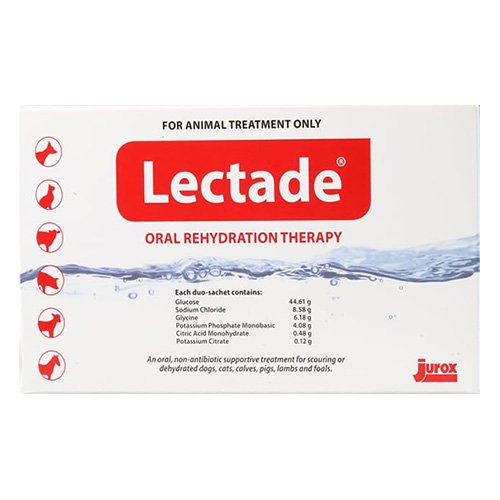 Lectade Oral Rehydration Therapy 64 Gms