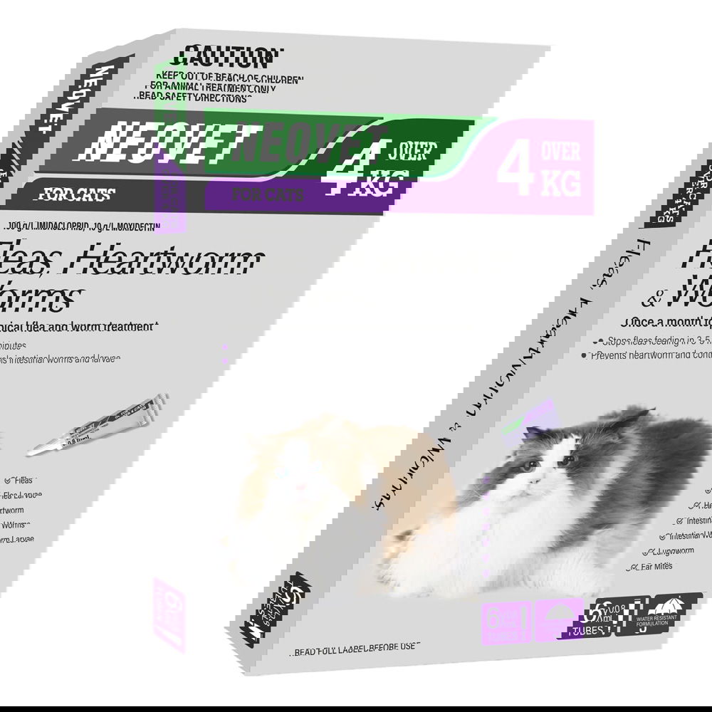 Neovet Flea And Worming For Cats Over 4kg Purple 6 Pack