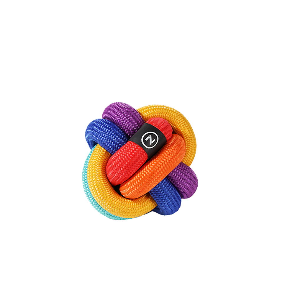 Pawzcity Interactive Rope Ball - Rainbow Dare To Love