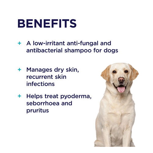 PAW Mediderm Gentle Medicated Shampoo for Dogs