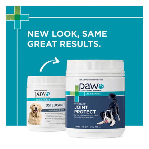 Paw Osteocare Chews