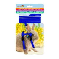 Percell Rabbit Harness - Blue