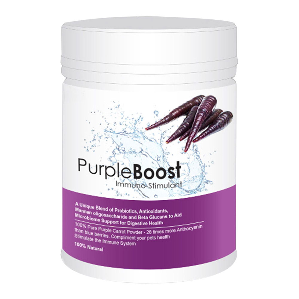 LifeWise Purple Boost Health Supplement For Dogs