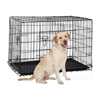 Royale Collapsible Dog Crate - Large