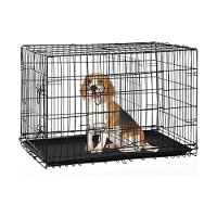 Royale Collapsible Dog Crate - Medium