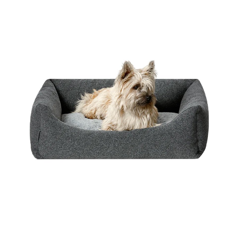 Snooza Low Front Lounger for Dogs