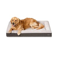 Snooza Odour Control Memory Support Bed for Dogs