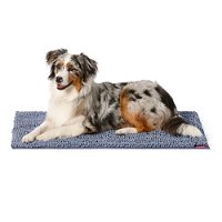 Snooza SupaDry Noodle Mat for Dogs Storm