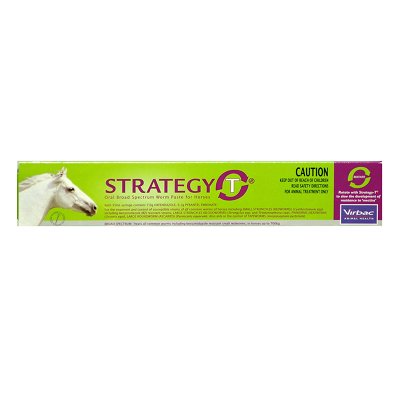 Strategy-T Paste  35 Ml