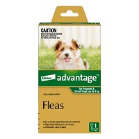 Advantage For Small Dogs Up To 4Kg (Green)