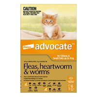 Advocate For Kittens & Small Cats Up To 4Kg (Orange)