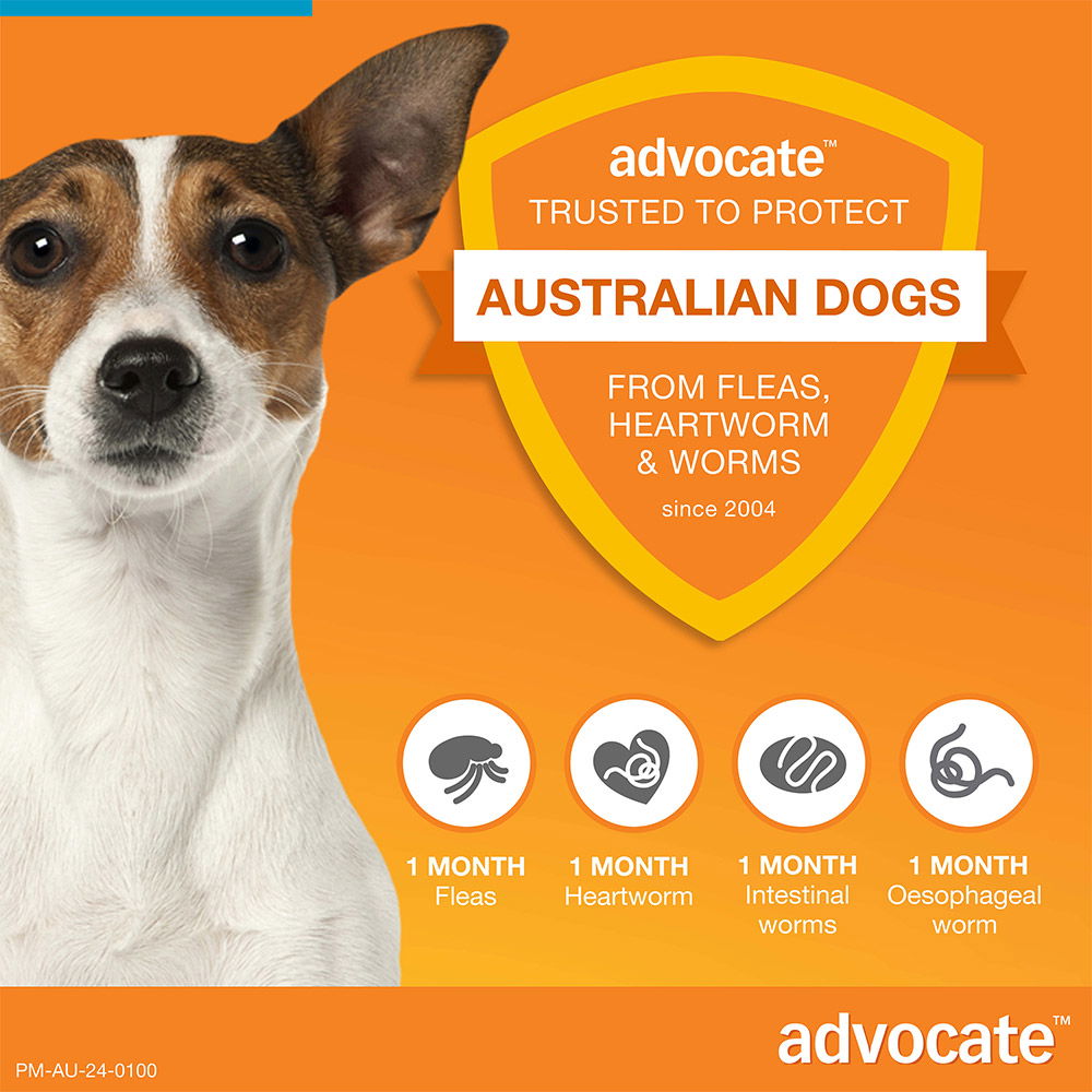 Advocate for Dogs Flea Heartworm Worm Treatment