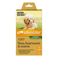 Advocate For Dogs up to 4 kg (Small Dogs/Pups) Green