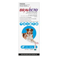 Bravecto Spot On for Large Dogs (20 - 40 kg) Aqua