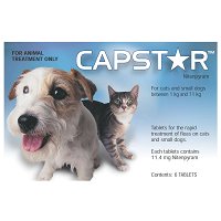 Capstar Flea Control Tablets And Small Dogs 0.5-11Kg