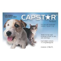 Capstar Flea Control Tablets for Cats and Small Dogs 1kg to 11kg