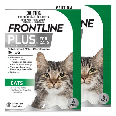 Frontline Plus For Cats 12 Pipettes (Exp: 03/2025)