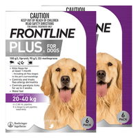 Frontline Plus For Large Dogs 20 To 40 Kg (Purple)