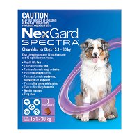 Nexgard Spectra Large Dogs (15.1 - 30kg) Purple