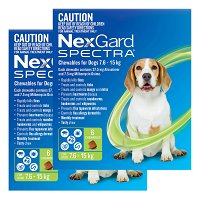 Nexgard Spectra Medium Dogs (7.6 - 15kg) Green